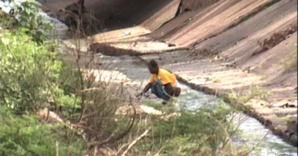 Wp header logo 1239.png