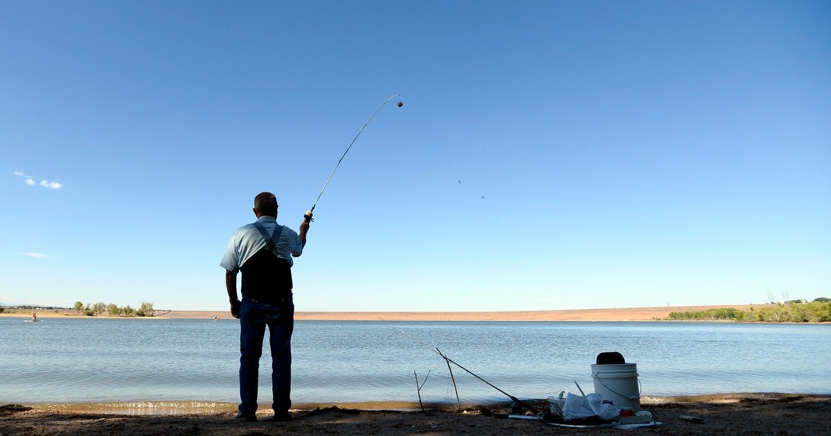 Wp header logo 86.png