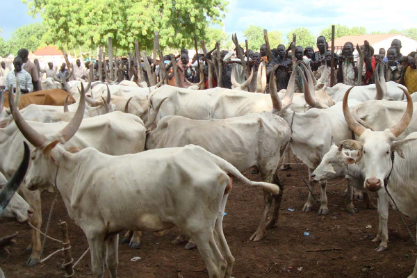 Wp header logo 1022.png