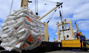 Wp header logo 1112.png