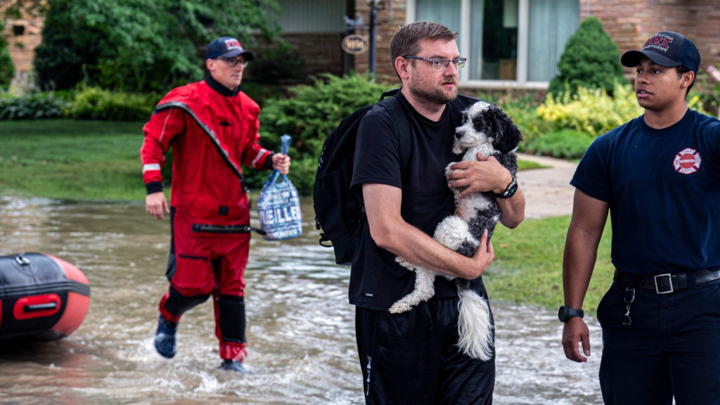 Wp header logo 1156.png