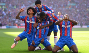 Wp header logo 1164.png