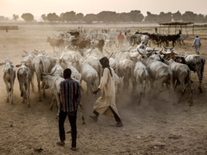 Wp header logo 1208.png